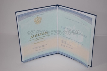 Диплом Техникума 2024г СпецБланк в Перми