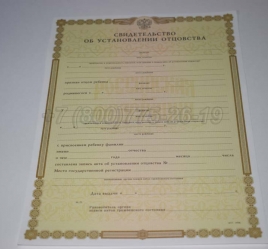 Свидетельство об Установлении Отцовства 2018г в Перми