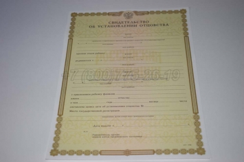 Свидетельство об Установлении Отцовства 2019г в Перми
