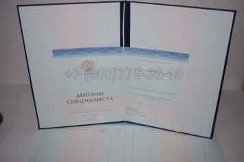 Диплом о Высшем Образовании 2024г СпецБланк в Перми