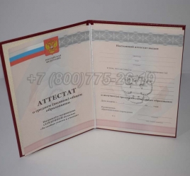Аттестат За 11 Класс 2011г Серебро в Перми