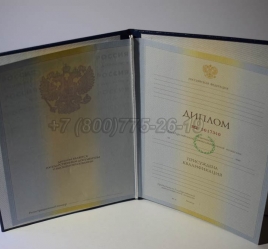 Диплом Института 2010г в Перми