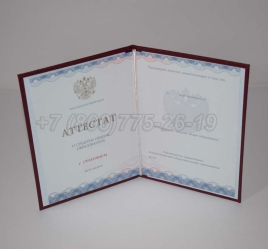 Аттестат За 11 Класс 2023г Золото ГОЗНАК в Перми
