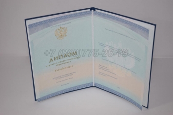Диплом Техникума 2018г СпецБланк в Перми