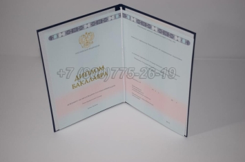 Диплом Бакалавра 2024г ГОЗНАК в Перми